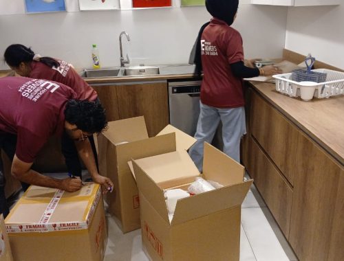 WhatsApp Image 2025-11-08 at 2.36.25 PM